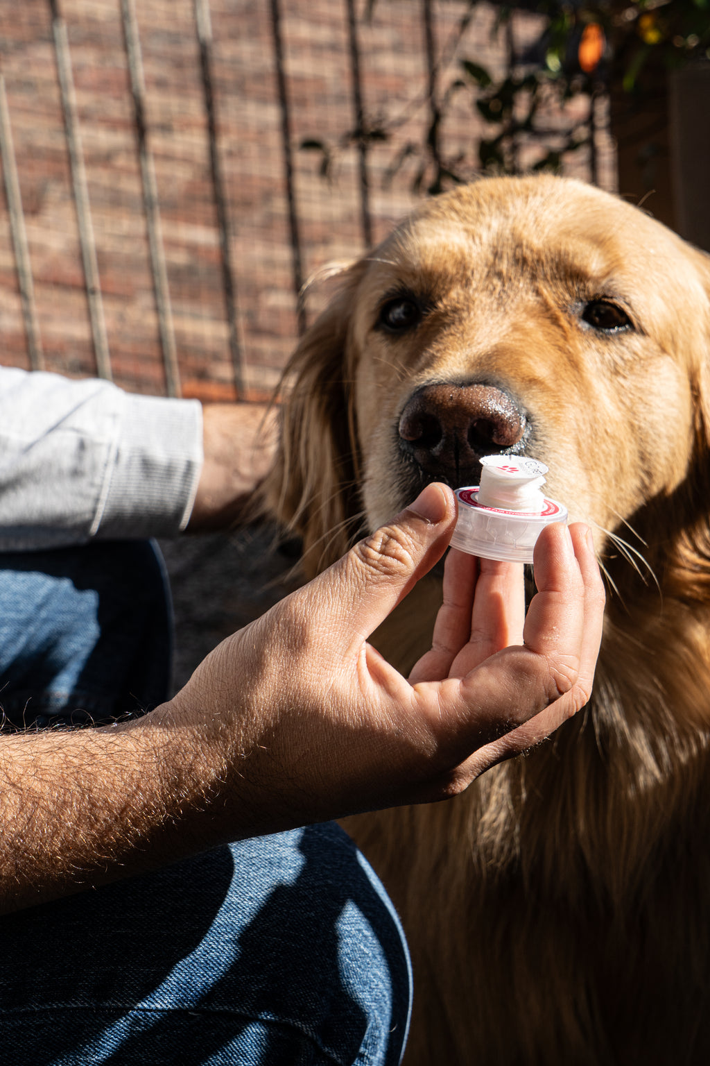 NAPKIN GO PET Ready-to-Use Single-Use Moistened Wipe for Pets