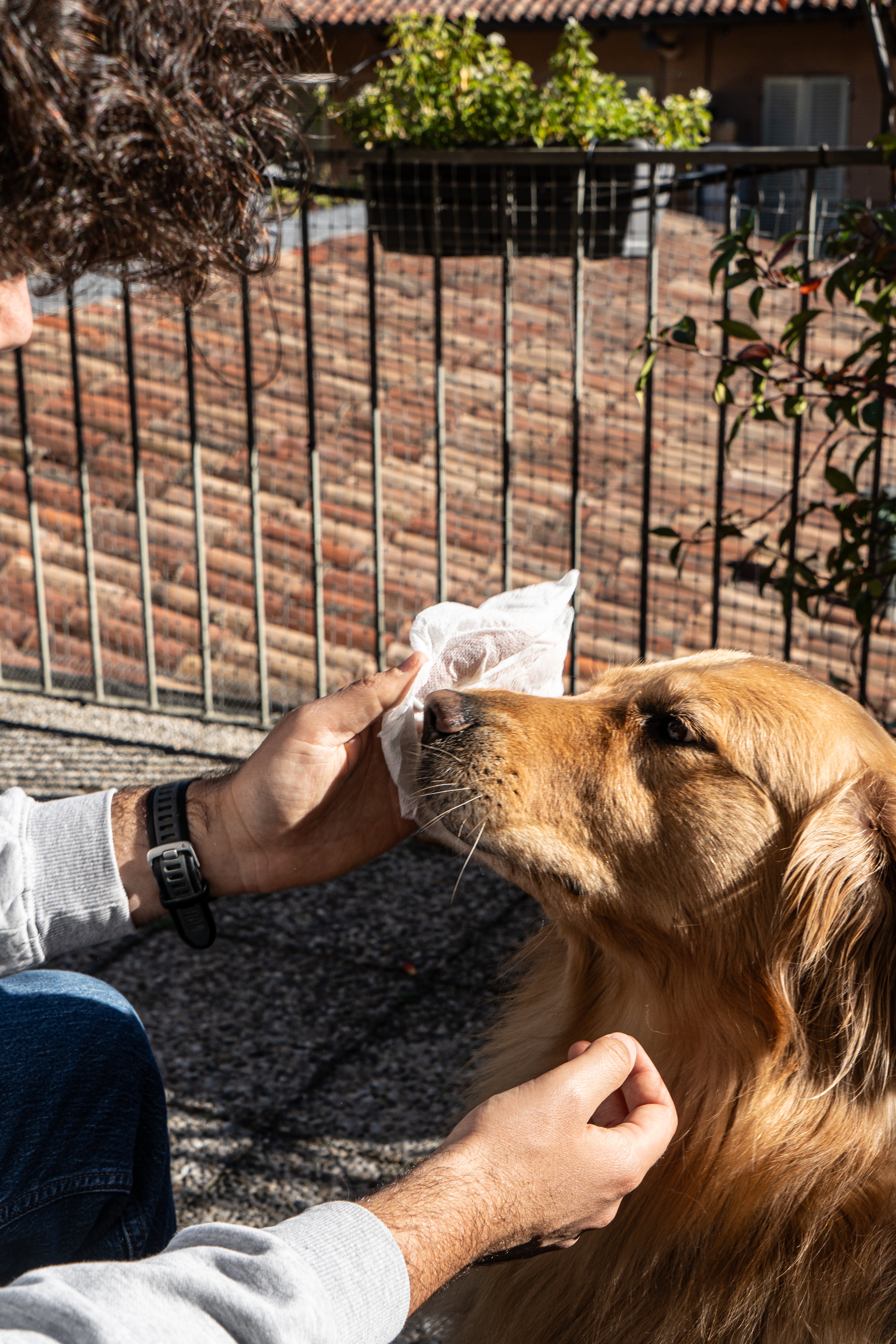 NAPKIN GO PET Ready-to-Use Single-Use Moistened Wipe for Pets